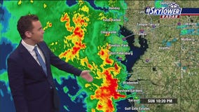 Nash Rhode's forecast