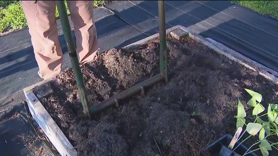 Tools for turning your garden