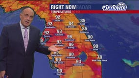Tampa Weather | Mostly clear, muggy