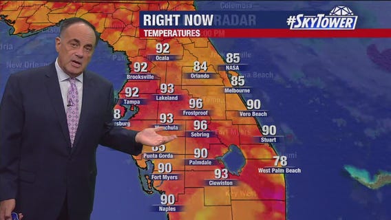 Tampa Weather | Mostly clear, muggy