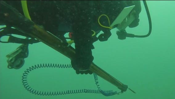 Inside the sport of spearfishing