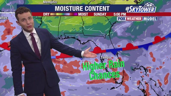 Tampa weather | Higher rain chances ahead