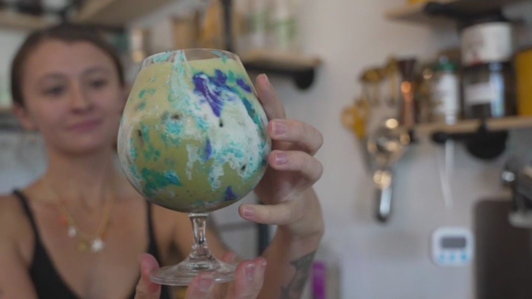 Dunedin Mockfusion redefining nightlife