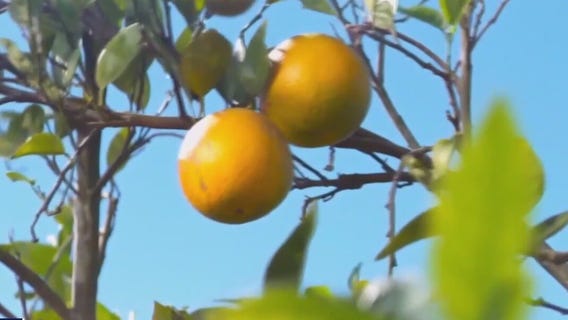 Making Cents with Walter Allen