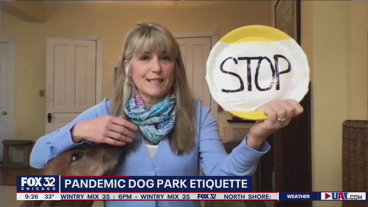 Dog park etiquette during the pandemic
