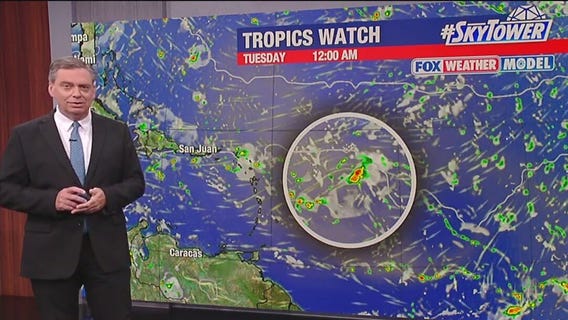 Tampa Weather | Evening storms possible