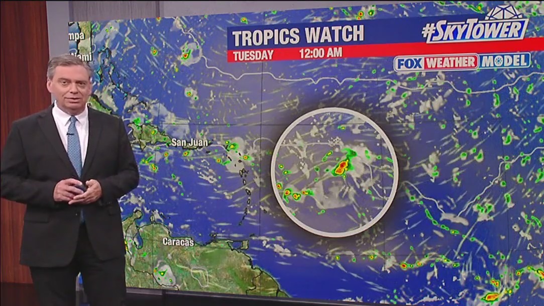 Tampa Weather | Evening storms possible