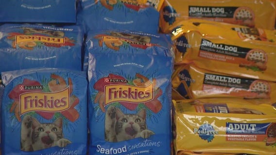 FOX 13's Charley's World takes us to Tampa Bay Humane Society