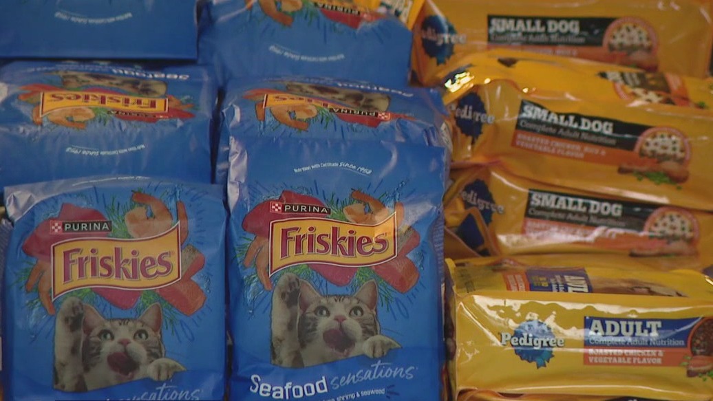 FOX 13's Charley's World takes us to Tampa Bay Humane Society