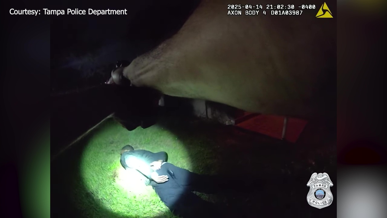 TPD officer suspended for excessive force | FOX 13 Tampa Bay