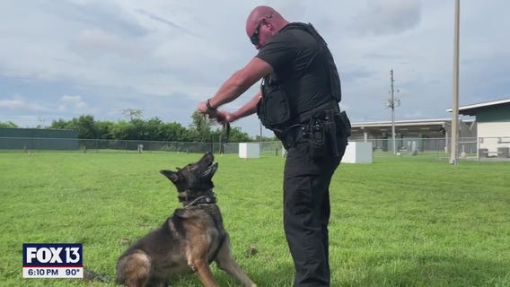 Police K-9 heat technology