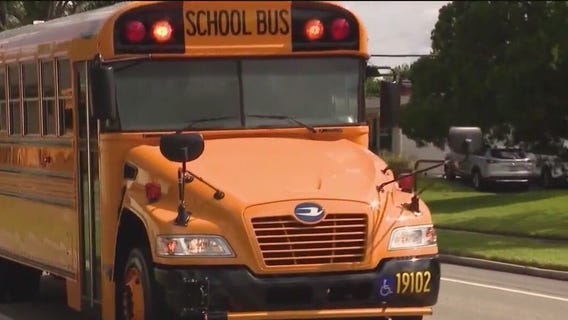 Why are school buses colored yellow?