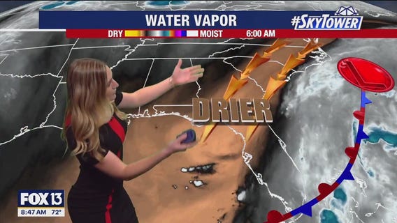 Tampa weather | Mostly clear conditions Saturday