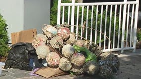 Keep Tampa Bay Beautiful Hillsborough River cleanup