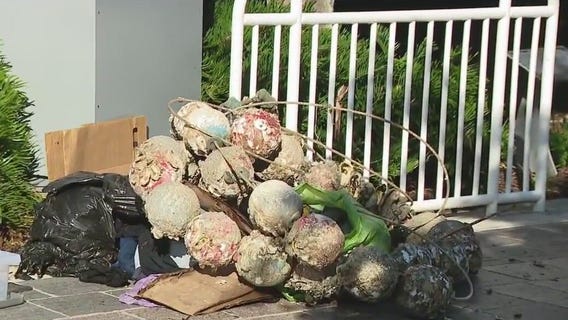 Keep Tampa Bay Beautiful Hillsborough River cleanup