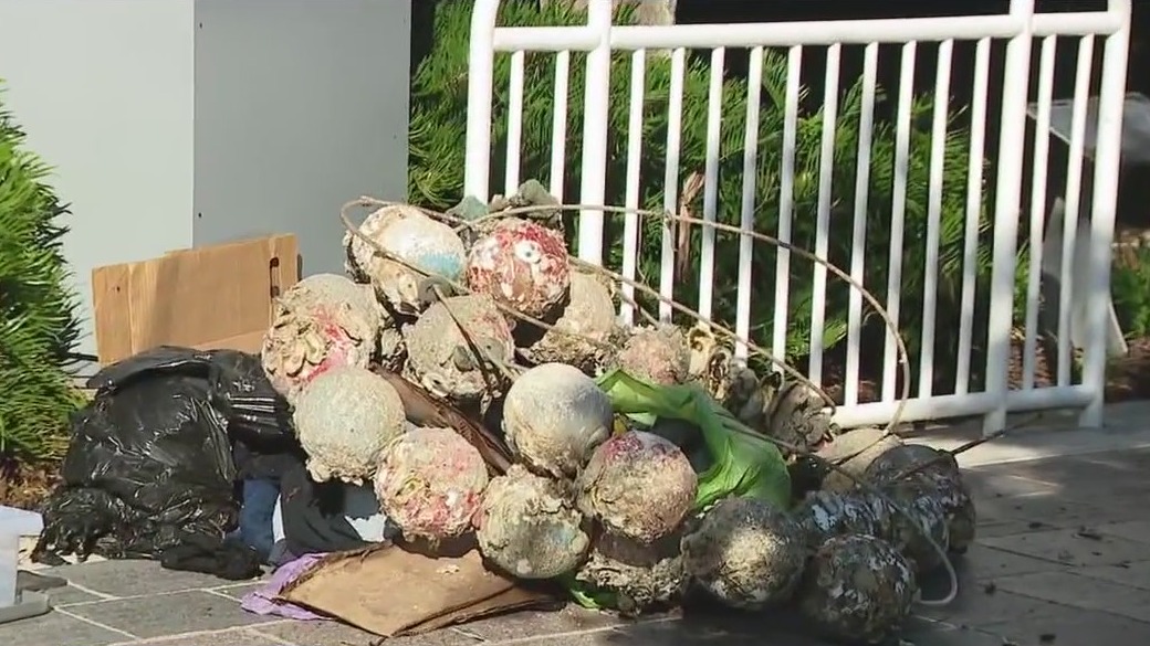 Keep Tampa Bay Beautiful Hillsborough River cleanup