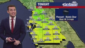 Tampa weather | Cool and mainly clear conditions