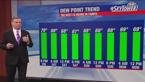 Tampa Weather | Variable clouds, few showers south