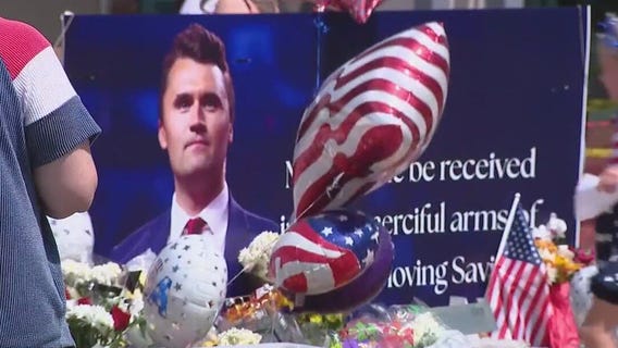 Impact of political violence