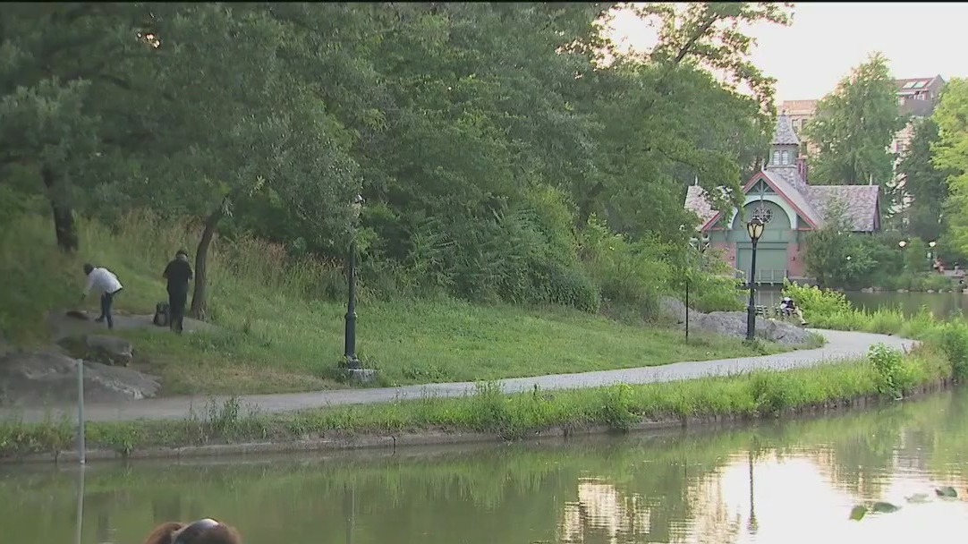 NYC crime: Safety in NYC parks