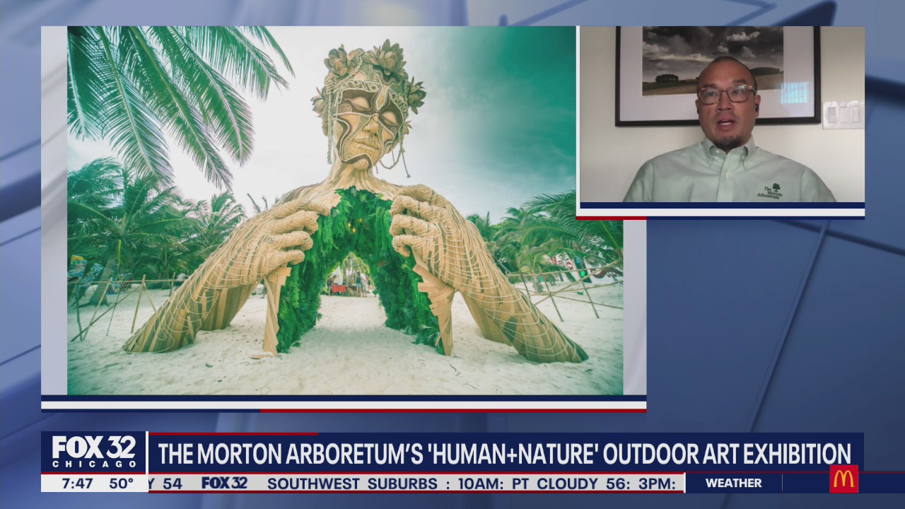 The Morton Arboretum hosting new 'Human + Nature' outdoor art exhibition