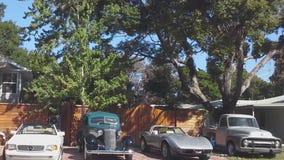 Bob?s classic car collection