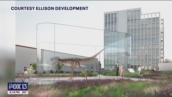 Dinosaur skeleton to be set up on St. Pete rooftop