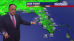 Tampa Weather | Mainly hot and dry