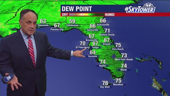 Tampa Weather | Mainly hot and dry