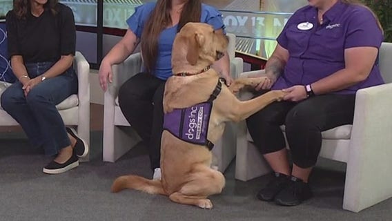 Therapy dog helping local veterans