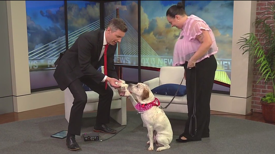 Meet Nova, our FOX 13 Pet of the Week