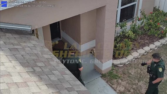 Lake County deputies capture, relocate gator on front porch area