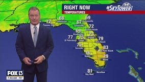 Tampa weather | Sunny and dry conditions