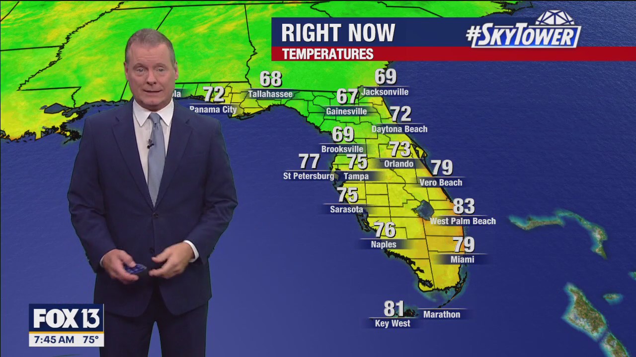 Tampa weather | Sunny and dry conditions