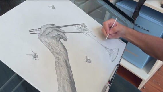 Tampa artist uses pencils to create works of art