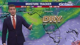 Tampa weather | Sunny and hot conditions Saturday