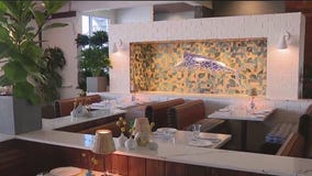 Sarasota recovers from the storms