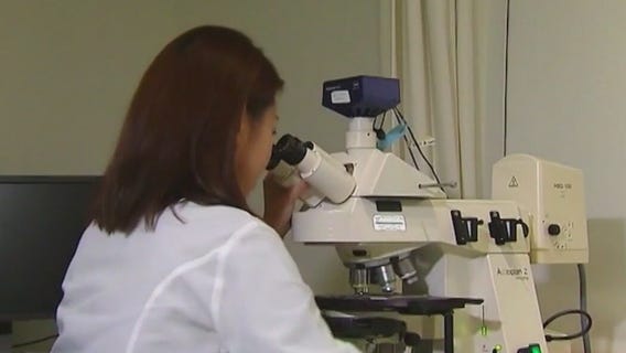 Florida invests millions in cancer research