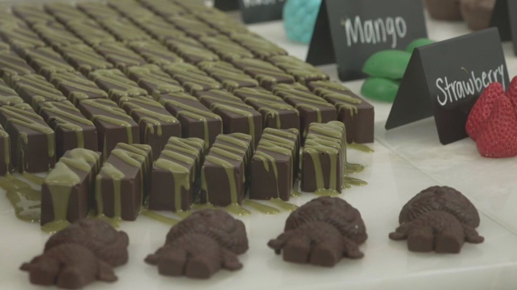 'Roasted' selling Middle Eastern snacks in Temple Terrace