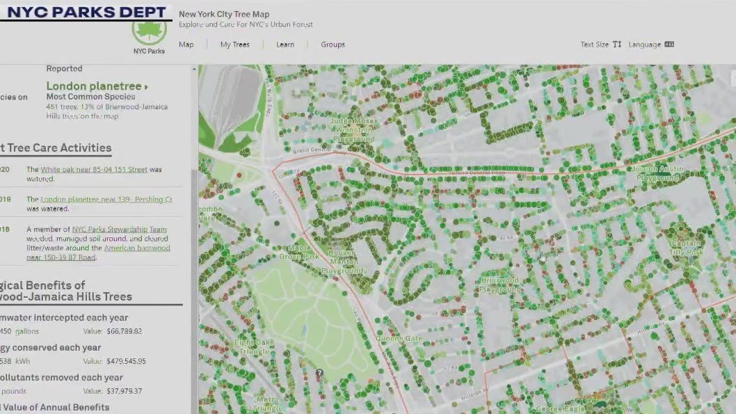Digital map shows each of NYC's trees