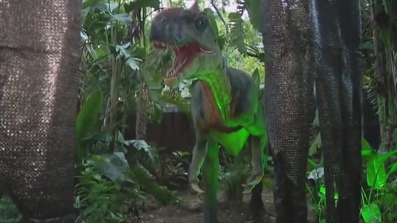 Charley's World | Creatures of the Night