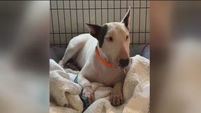 ?Trooper?s Law? goes into effect this week