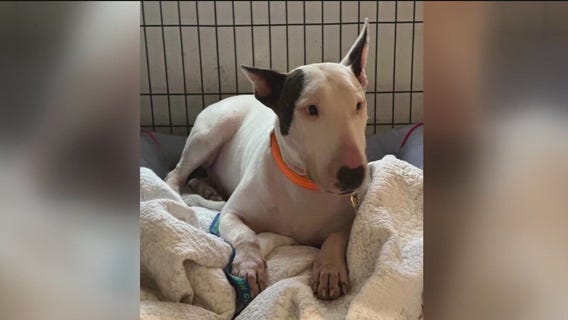 ?Trooper?s Law? goes into effect this week