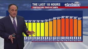Tampa weather | Warm and mostly clear conditions