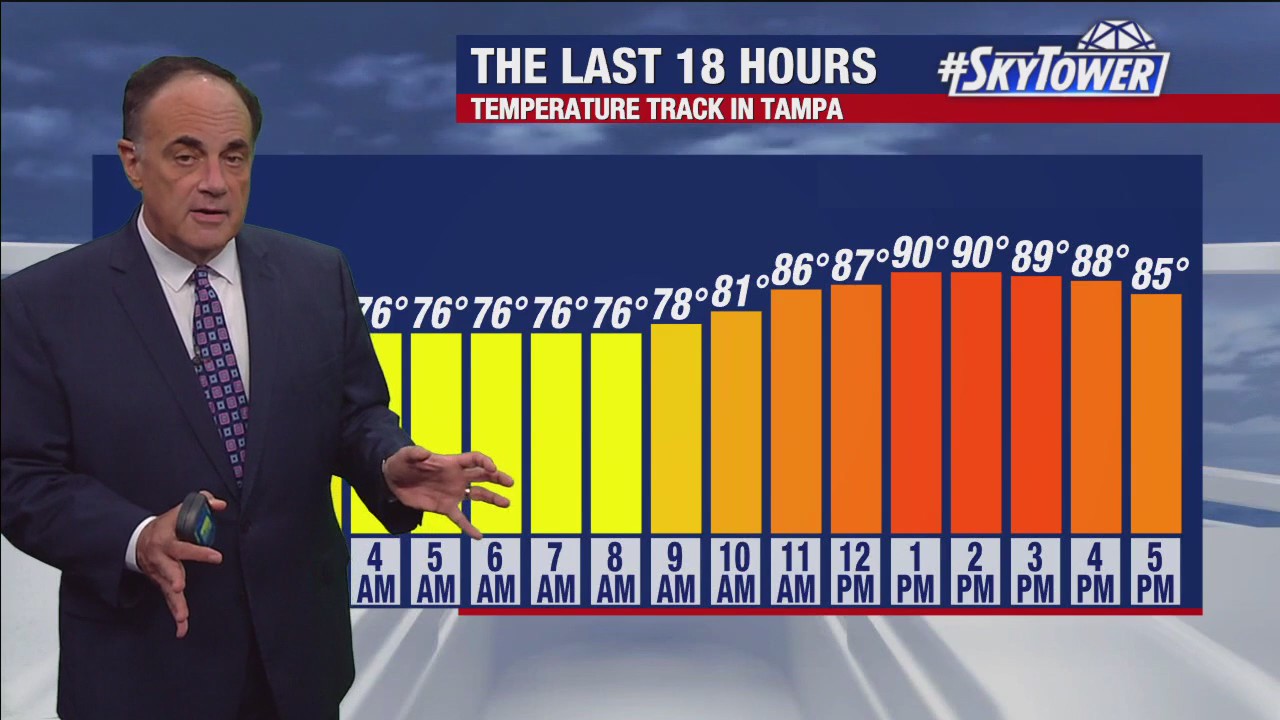 Tampa weather | Warm and mostly clear conditions