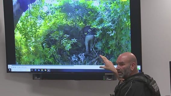 Illegal immigrant on trial for double murder