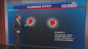 What is the Fujiwhara Effect?