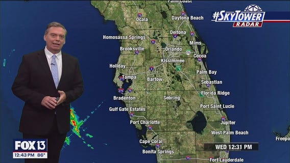 Tampa's Weather | Partly cloudy, isolated showers