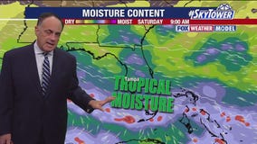 Tampa's Weather | Rain chances on the rise