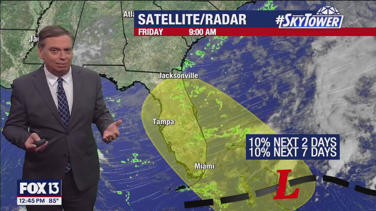 Tampa Weather | Windy weekend ahead